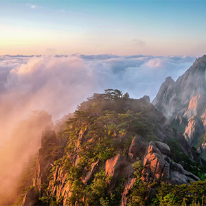 违章处理_处理异地违章罚款_异地违章罚款处理流程